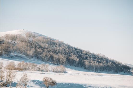 穿林海，跨雪原——哈弗H9乌兰布统之旅